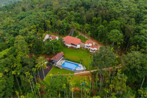 Theyila Wayanad Premium Pool Resort